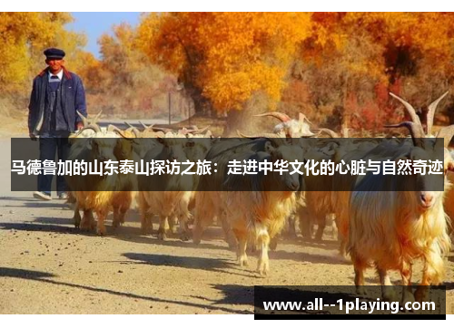 马德鲁加的山东泰山探访之旅:走进中华文化的心脏与自然奇迹 马德鲁加的山东泰山探访之旅:走进中华文化的心脏与自然奇迹