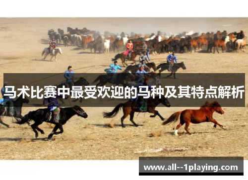 马术比赛中最受欢迎的马种及其特点解析